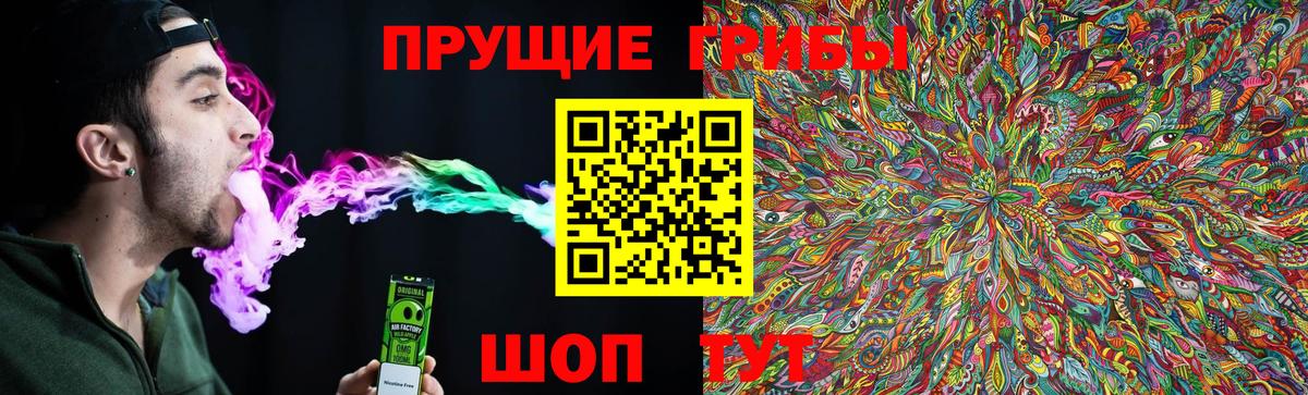 Псилоцибиновые грибы мицелий Белореченск