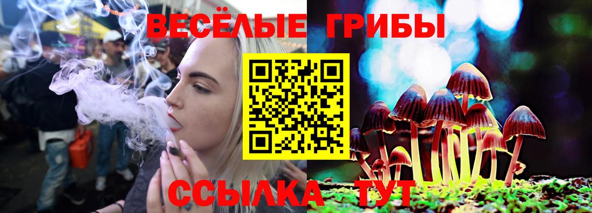 Псилоцибиновые грибы прущие грибы  Вход с VPN  Белореченск 
